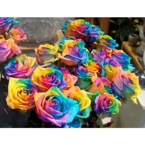 DIY Diamond Painting - Regenboogbloemen PIX-774