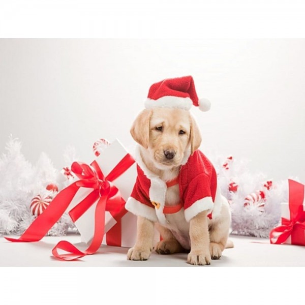 DIY Diamond Painting - Kerst PIX-919