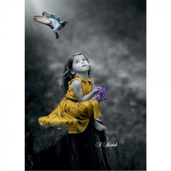 DIY diamant schilderij - Kinderen PIX-2678