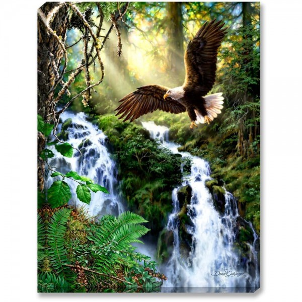DIY Diamond Painting - Landschap Adelaar Waterval PIX-261