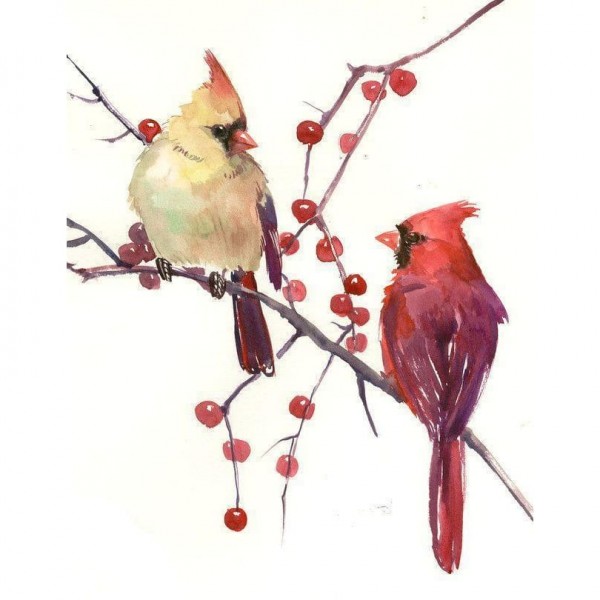 DIY diamant schilderij - kardinaal kunstenaar PIX-535