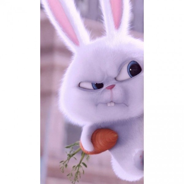 DIY Diamant Schilderij - Cartoon PIX-3164