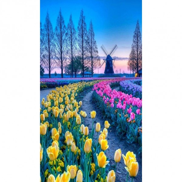 DIY Diamond Painting - Landschappen PIX-2217