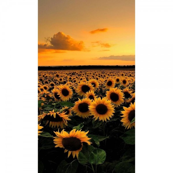 DIY Diamond Painting - Landschappen PIX-2206