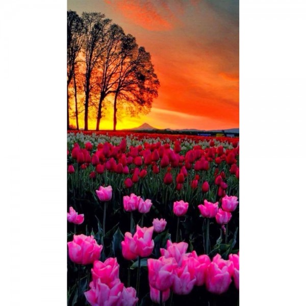 DIY Diamond Painting - Landschappen PIX-2182