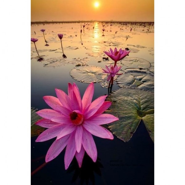 DIY Diamond Painting - Landschappen PIX-2096