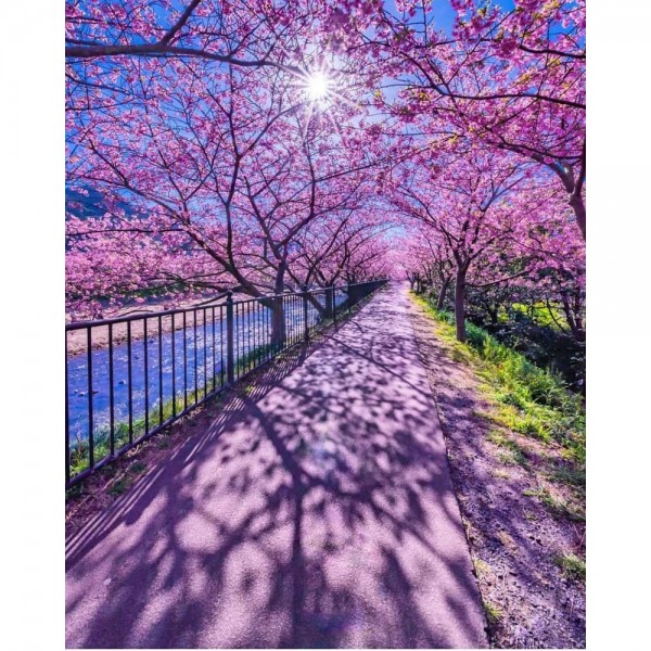 DIY Diamond Painting - Landschappen PIX-2258