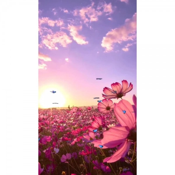 DIY Diamond Painting - Landschappen PIX-2156