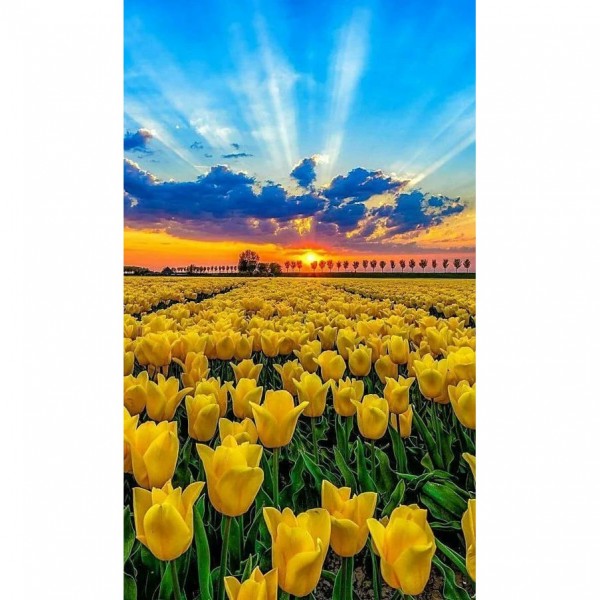 DIY Diamond Painting - Landschappen PIX-2193