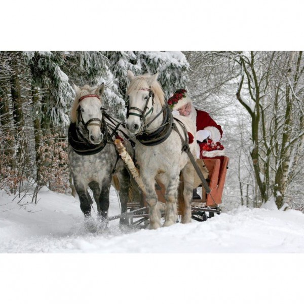 DIY Diamond Painting - Kerst PIX-1058