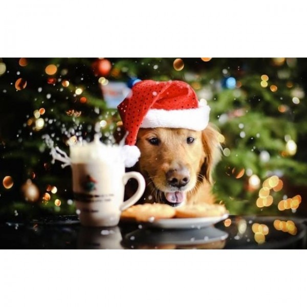 DIY Diamond Painting - Kerst PIX-945