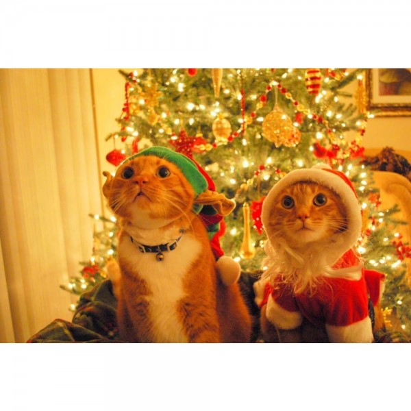 DIY Diamond Painting - Kerst PIX-1096