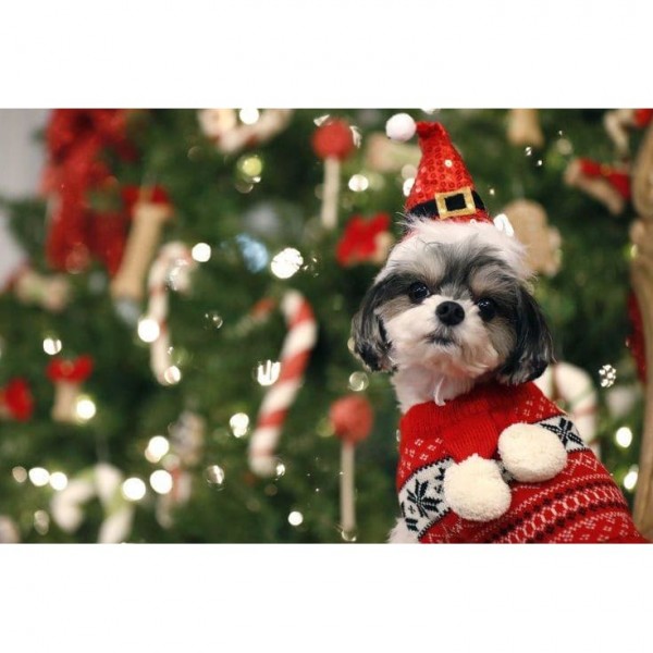 DIY Diamond Painting - Kerst PIX-925