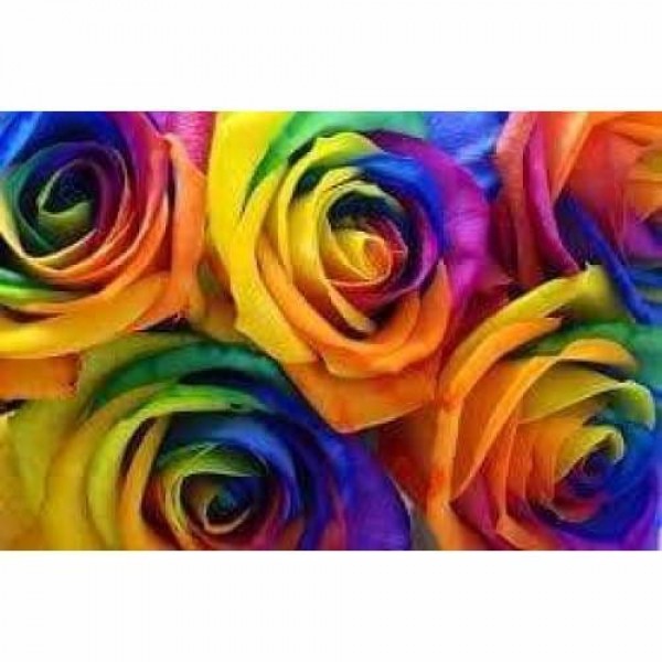 Kleurrijke rozen - volledige boor diamant schilderij abstract