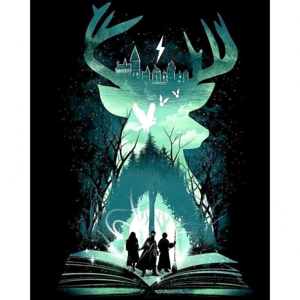 DIY diamant schilderij - Harry Potter PIX-1271