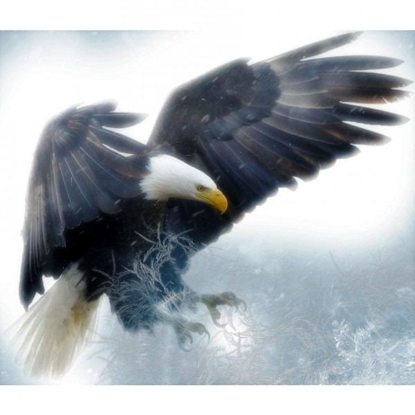 DIY Diamond Painting - Bald Eagle PIX-154