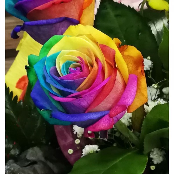 DIY Diamond Painting - Regenboogbloemen PIX-772