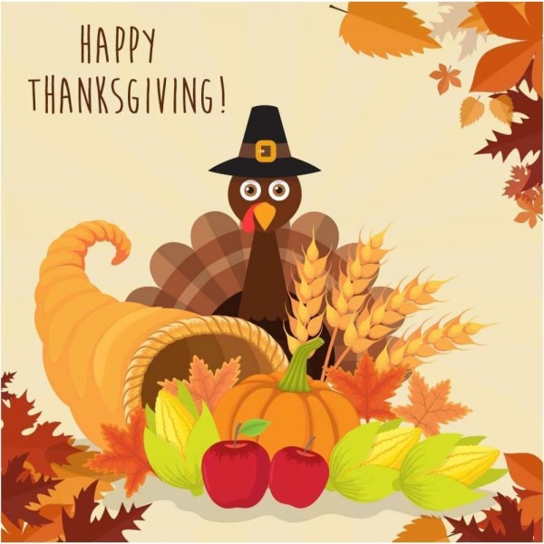 DIY Diamond Painting - Thanksgiving Day in Turkije PIX-666