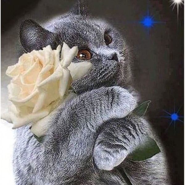 DIY Diamond Painting - Bloem PIX-734