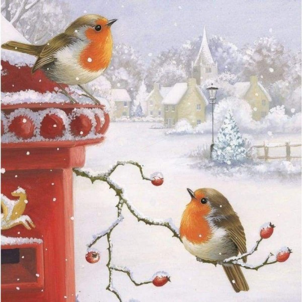 Volledige boor - 5D DIY Diamond Painting Kits Winter Artistiek Sneeuwvogel