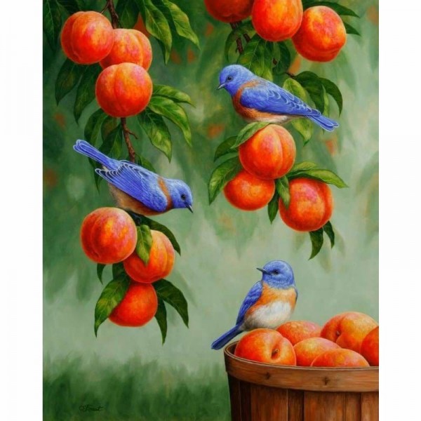 Drie blauwe vogeltjes bij een perzikboom