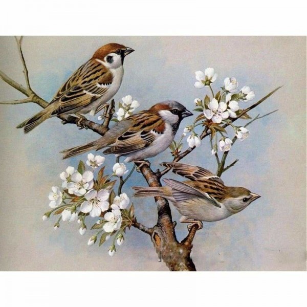 Volledige boor - 5D DIY Diamond Painting Kits Betaalbare vogels op de bloemtakken