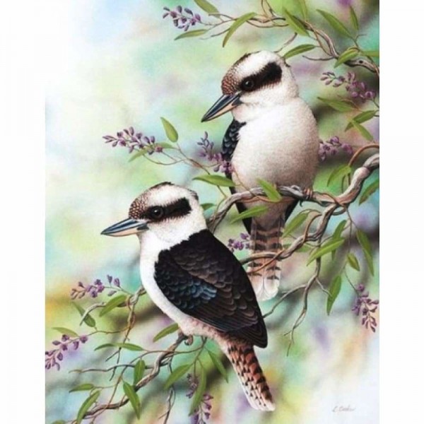 Kookaburra Birds - Volledige boor diamant schilderij