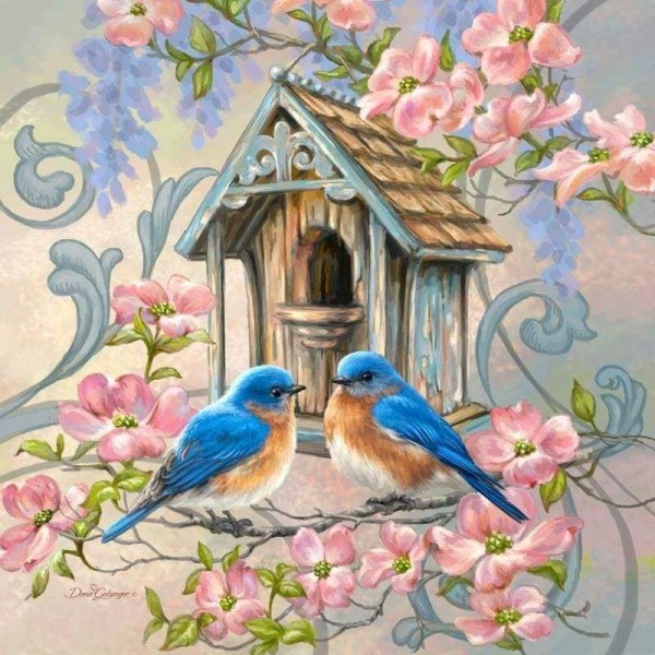 Volledige boor - 5D DIY Diamond Painting Kits Cartoon Birds Warm House