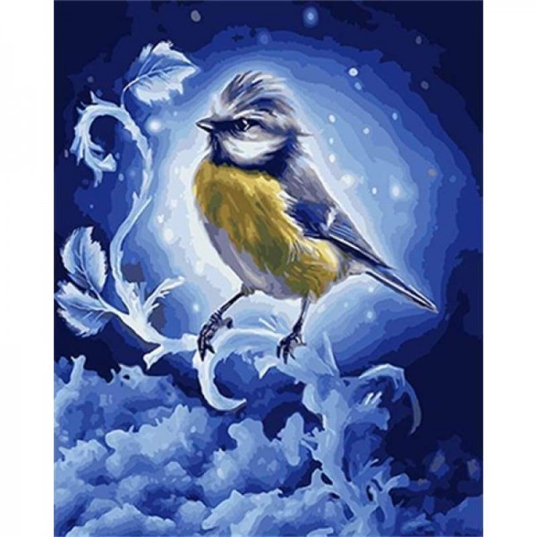 Volledige boor - 5D Diamond Painting Kits Visional Starry Bird