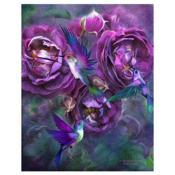 Volledige boor - 5D DIY Diamond Painting Kits Beautiful Flowers Birds