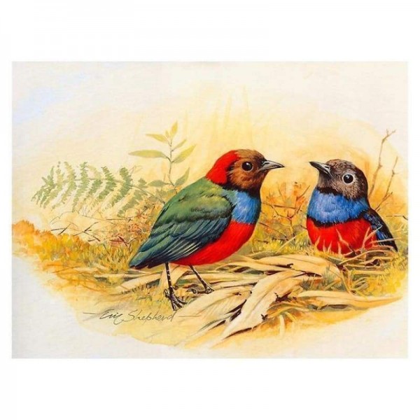 Volledige boor - 5D DIY Diamond Painting Kits Cartoon Birds