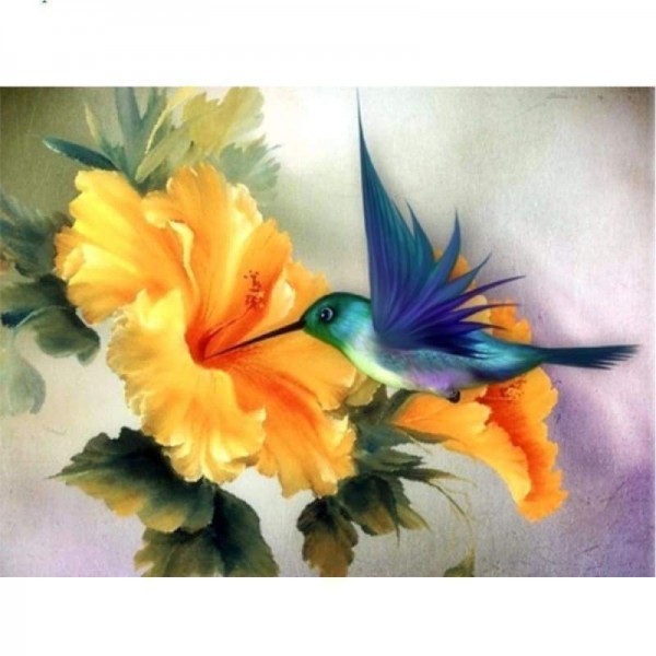 Volledige boor - 5D DIY Diamond Painting Kits Betaalbare vogel en bloem