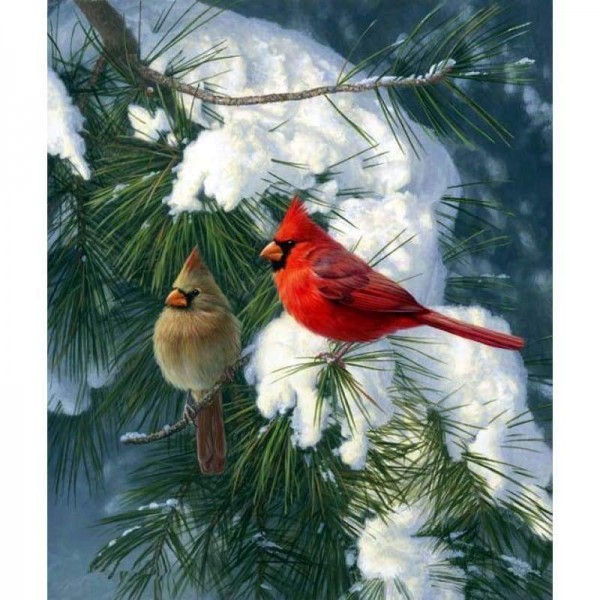Volledige boor - 5D DIY Diamond Painting Kits Winter Artistiek Sneeuwvogels