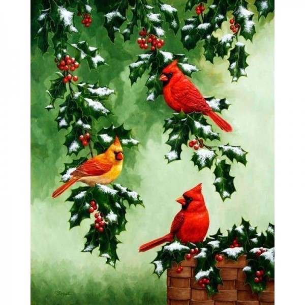 Volledige boor - 5D DIY Diamond Painting Kits Cartoon Snow Birds