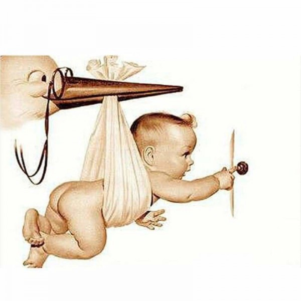 Volledige boor - 5D DIY Diamond Painting Kits Funny Portrait of Baby Bird