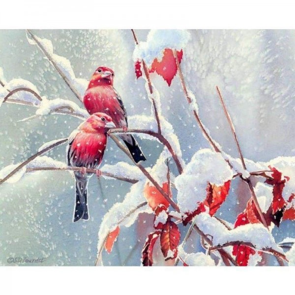 Volledige boor - 5D DIY Diamond Painting Kits Winter Artistiek Sneeuwvogels