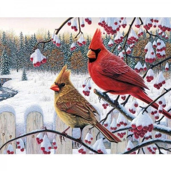 Volledige boor - 5D DIY Diamond Painting Kits Wintervogels op de takken