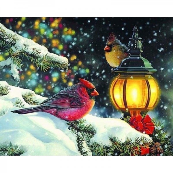 Volledige boor - 5D DIY Diamond Painting Kits Winter Bird Red