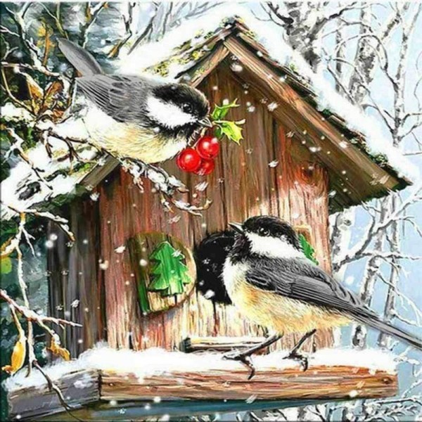 Volledige boor - 5D DIY Diamond Painting Kits Winter Canvas Animal Cute Bird