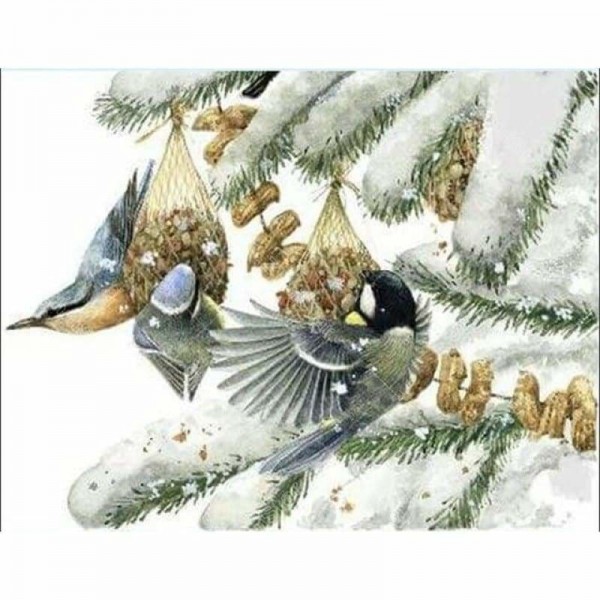 Volledige boor - 5D DIY Diamond Painting Kits Winter Bird Family