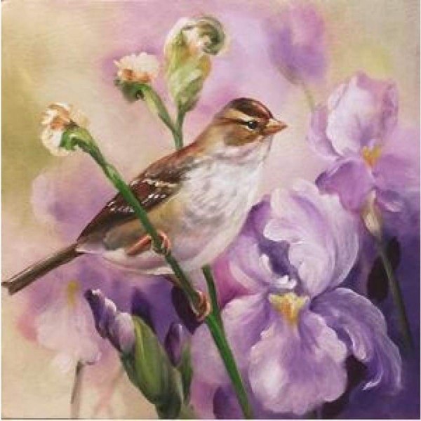 Volledige boor - 5D DIY Diamond Painting Kits Aquarel Love Bird Flowers
