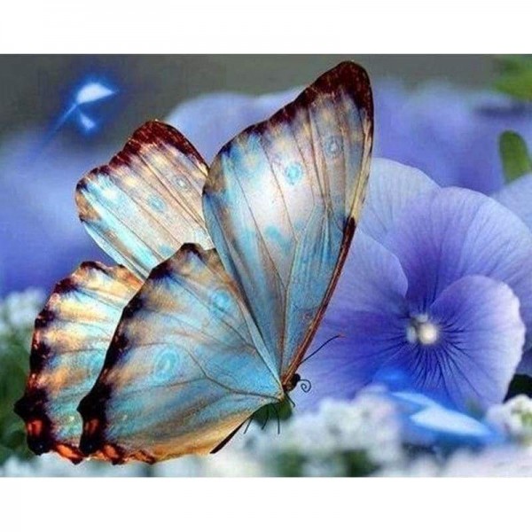 Volledige boor - 5D DIY Diamond Painting Kits Prachtige vlinder blauwe bloemen