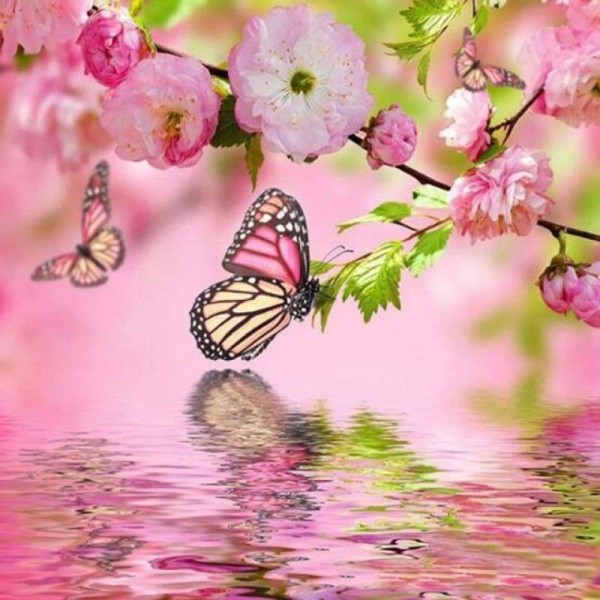 Mooie roze vlinders
