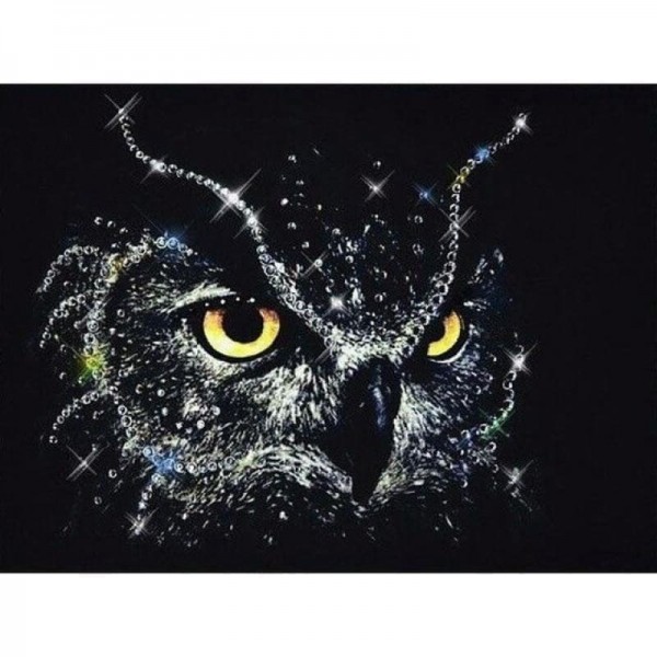 Volledige boor - 5D DIY Diamond schilderij dierlijke uil borduurwerk Art Kits UK