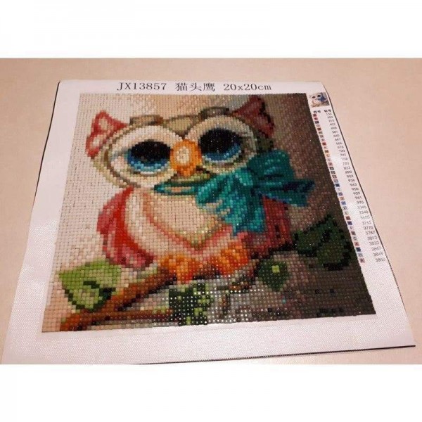 Volledige boor - 5D Diamond Painting Kits Kleurrijke schattige vrouwelijke uil