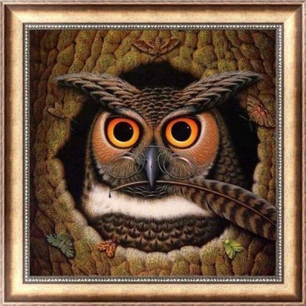 Volledige boor - 5D DIY Diamond Painting Kits Cartoon Cool Owl