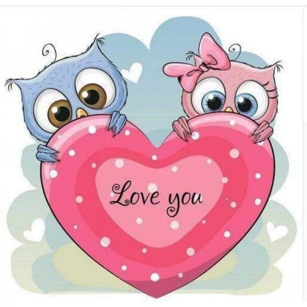 Volledige boor - 5D DIY Diamond Painting Kits Cartoon Love Owls