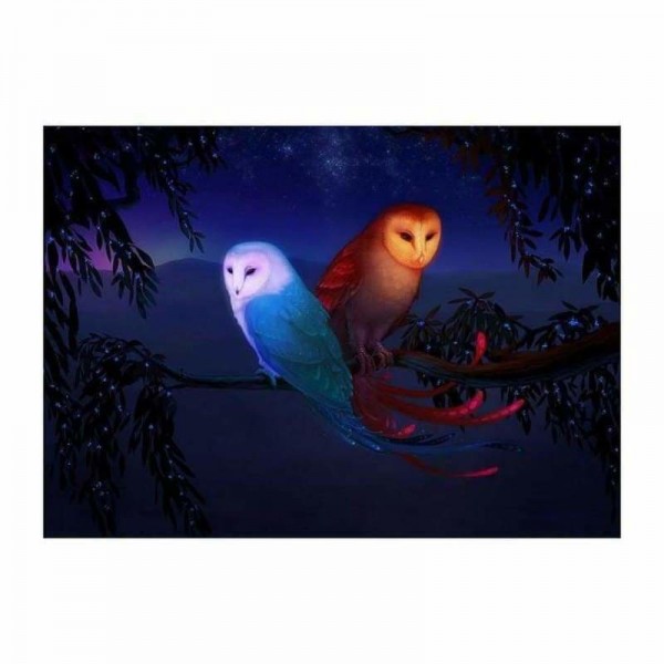 Volledige boor - 5D DIY Diamond Painting Kits Cartoon Styles Lovely Owls