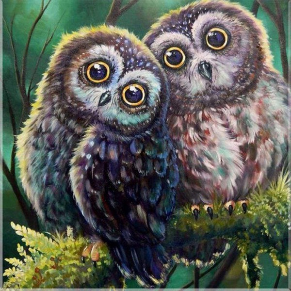 Volledige Boor - 5D DIY Diamant Schilderij Kits Grappige Cartoon Leuke Uilen Lover