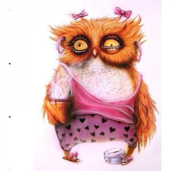 Volledige Boor - 5D DIY Diamant Schilderij Kits Grappige Cartoon Dieren Uil